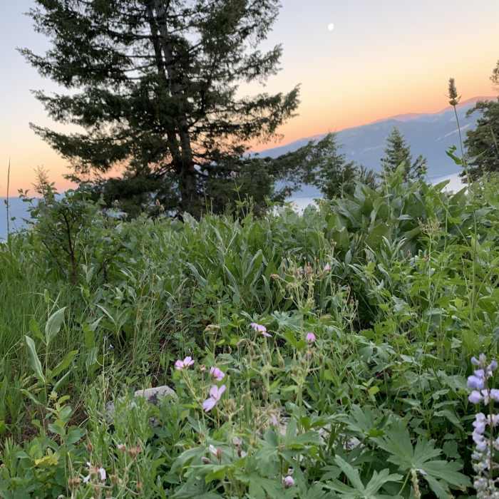 Near Quaker Flat Trail
