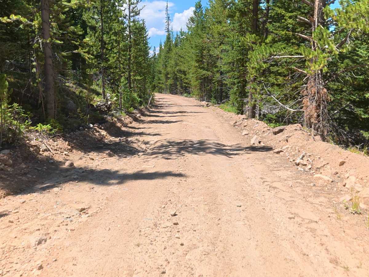 Government Creek Road trail photo
