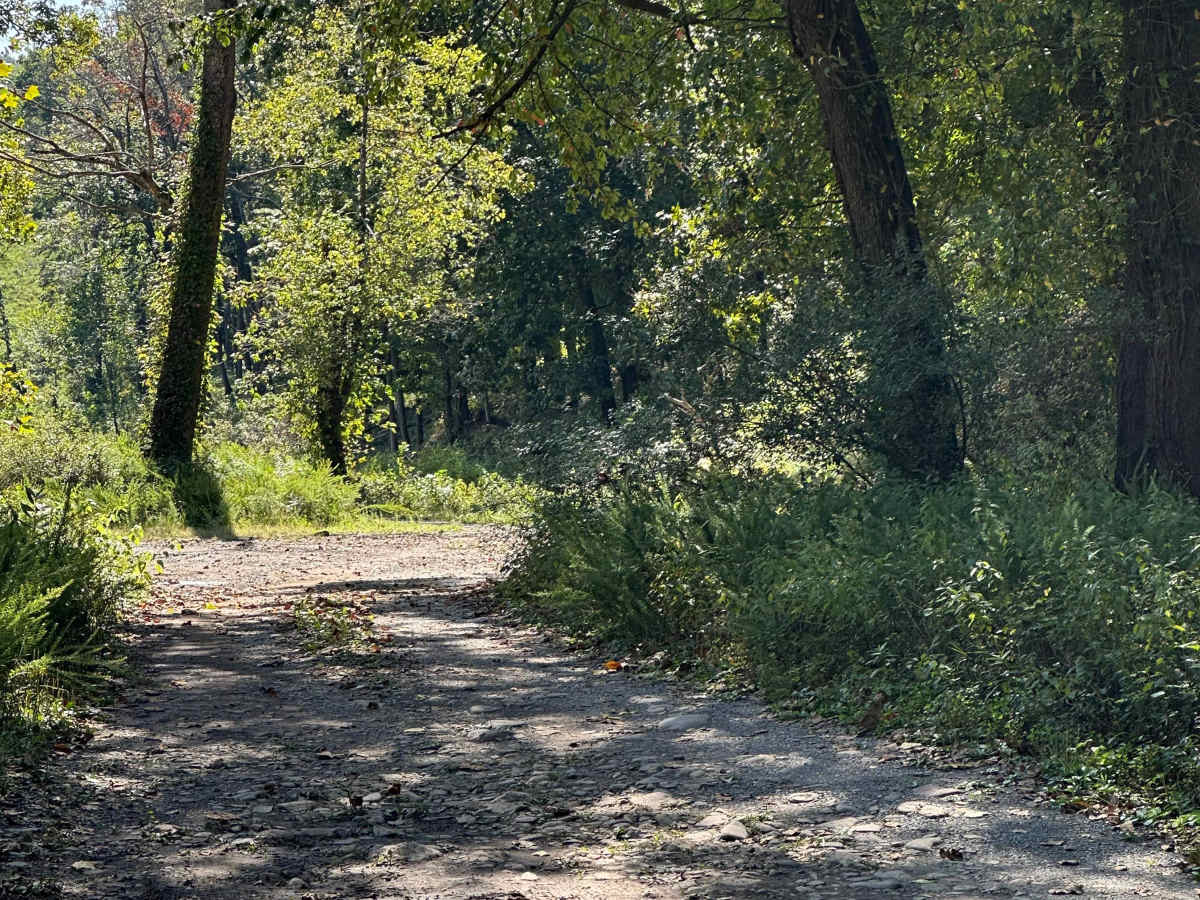 Little River photo 3