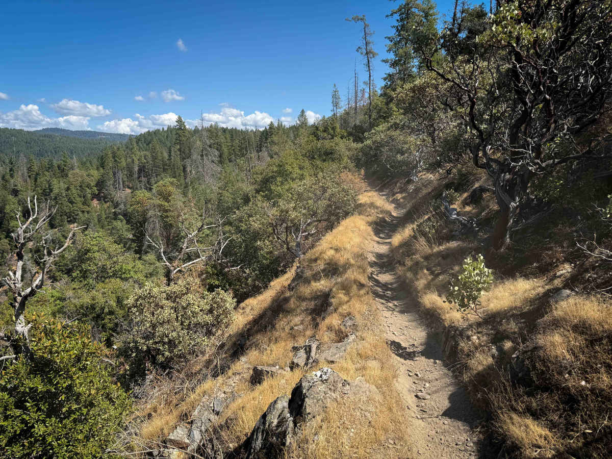 Trail 1-4 (11E42)   photo 3