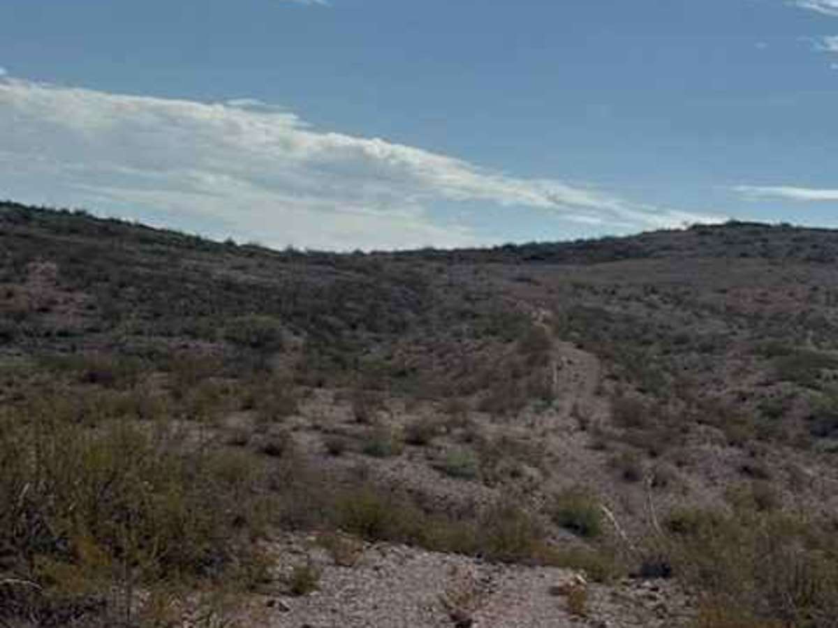 BLM PE1221 photo 5