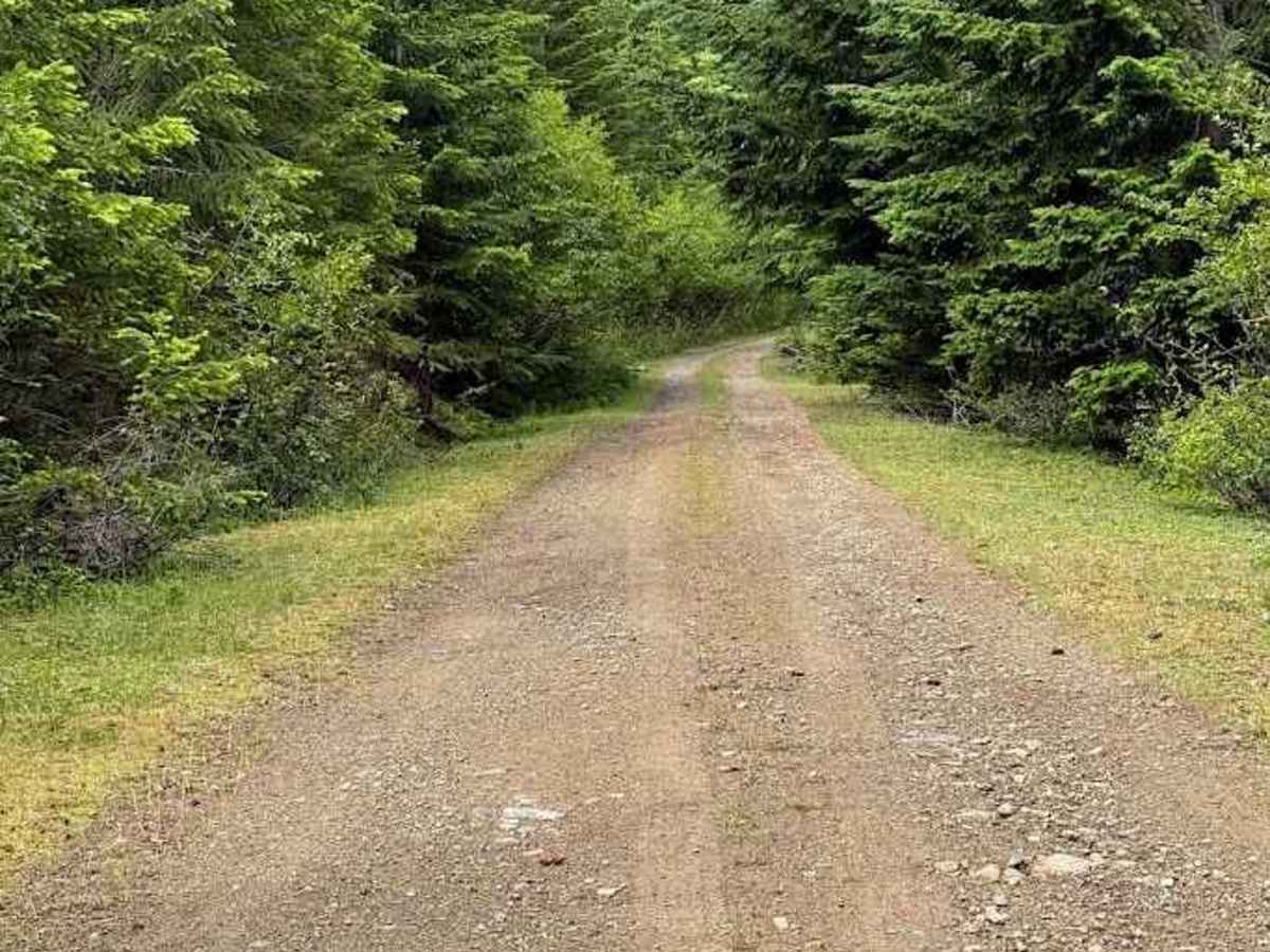 Intake Creek - FS 5220 photo 3