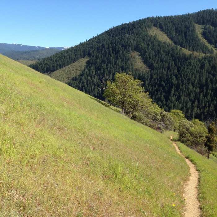 Near Tunnel Ridge Trail