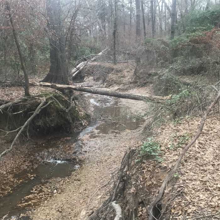 Near Julieanna Park Trail