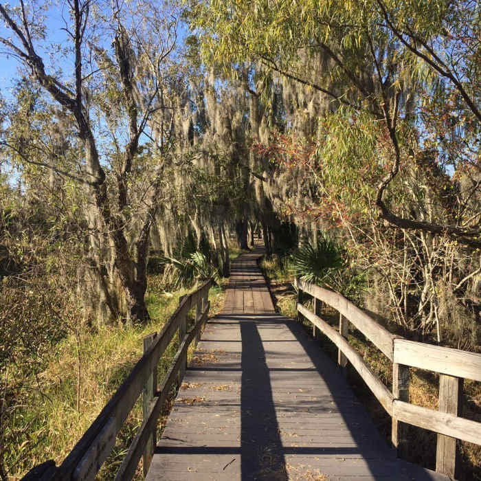 Near Bayou Coquille Trail