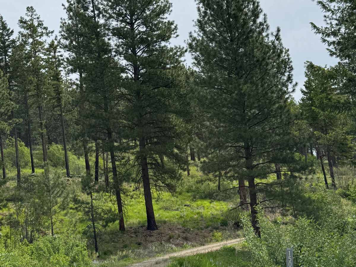 Washington Butte Trail trail photo