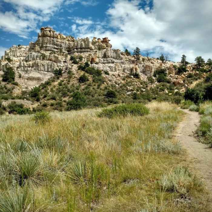 Near Pulpit Rock Trail