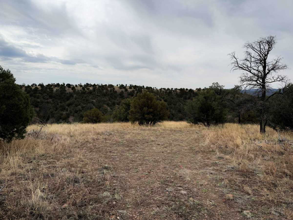 971 trail photo