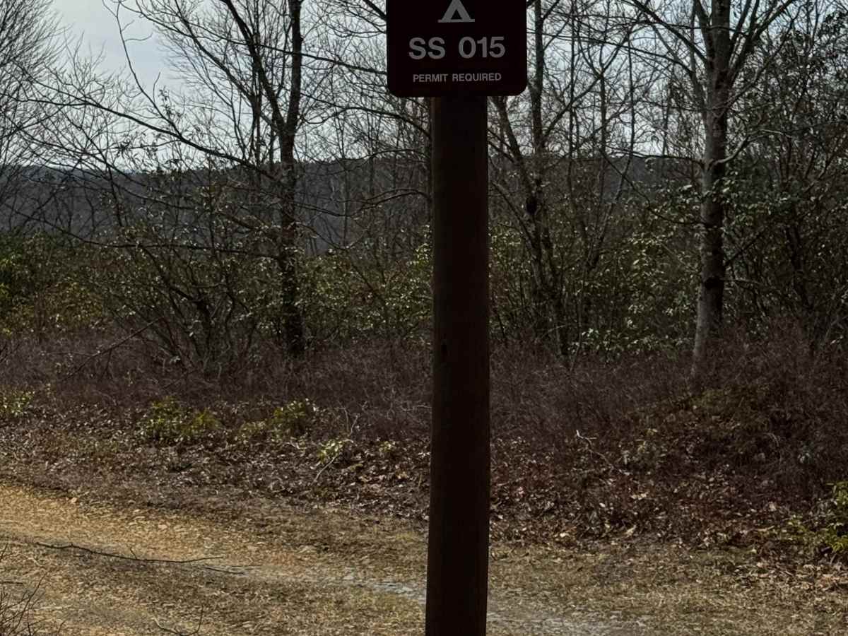 Swamp Branch Road photo 5