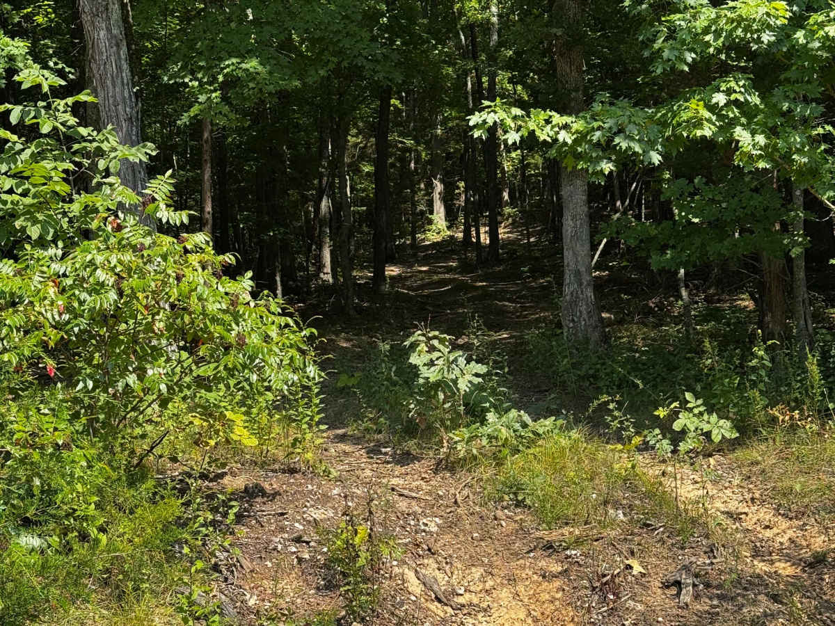 Heinke Hills  photo 4