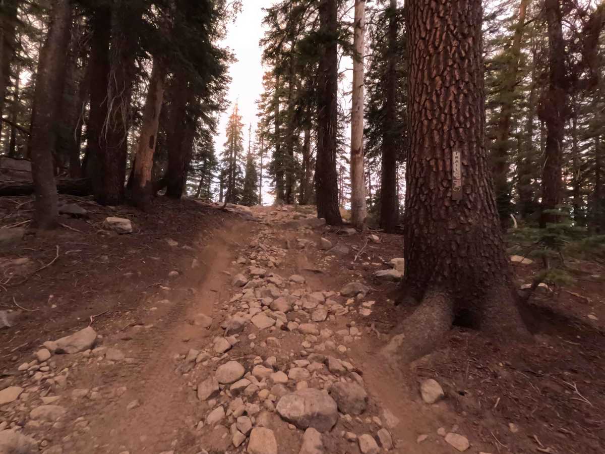 Strawberry Lake - FS 26E214 photo 5