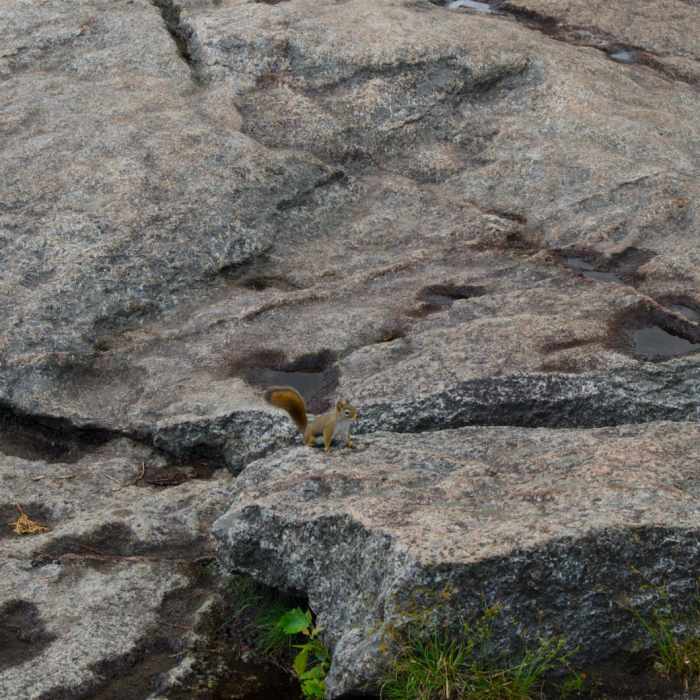 Near Mount Jo Near Mount Jo