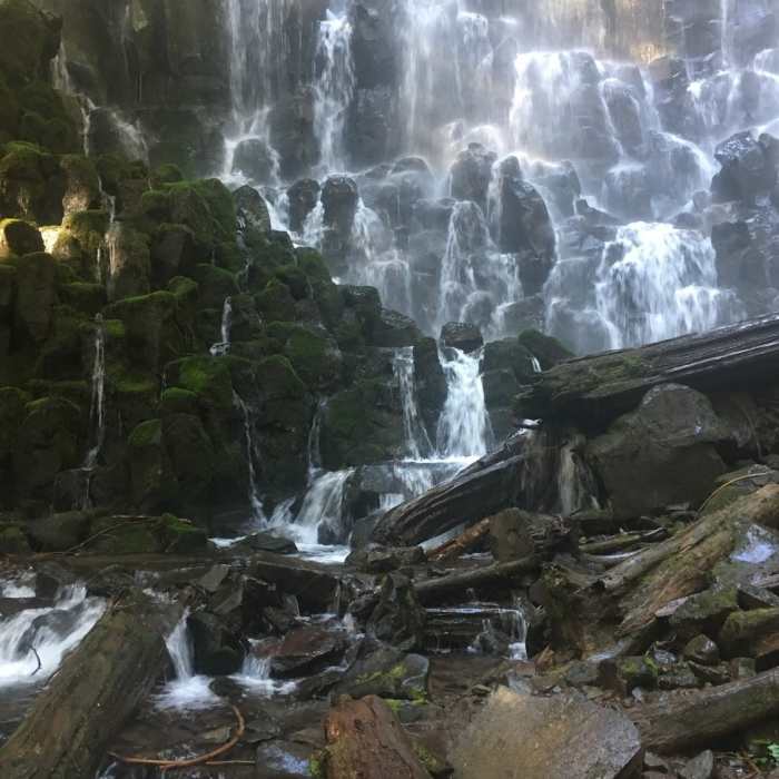 Near Ramona Falls Trail #797