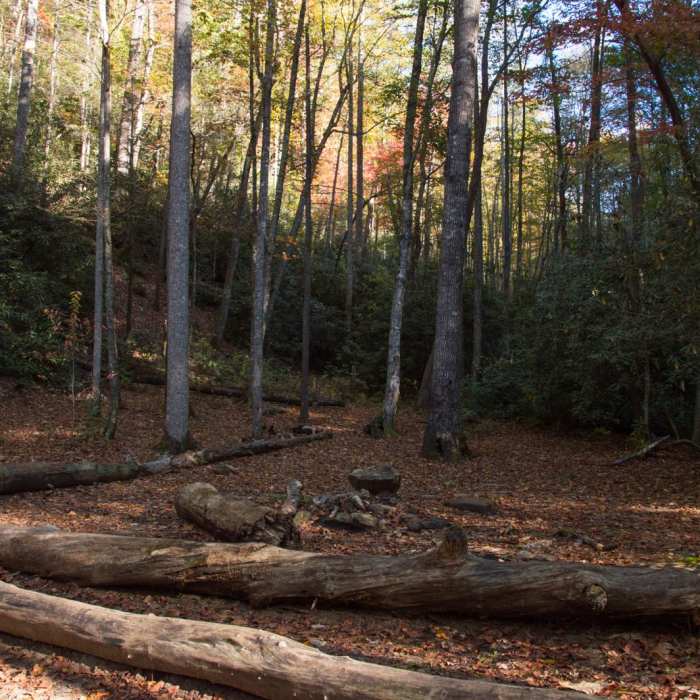 Near Rainbow Falls + Turtleback Falls Near Rainbow Falls + Turtleback Falls