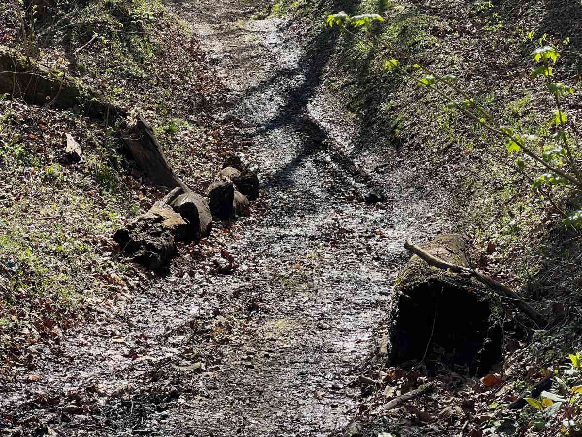 Q42 photo 6