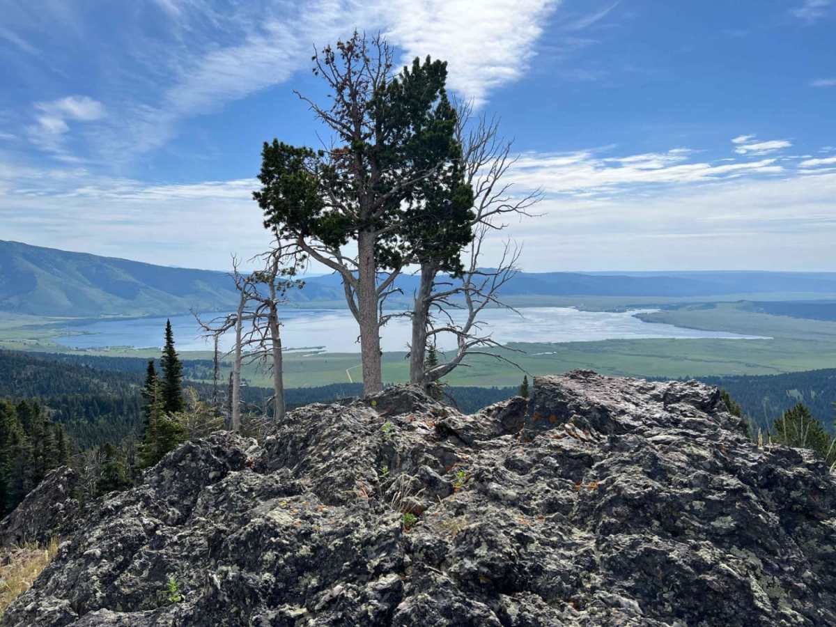 Continental Divide Trail (FS 20056) photo 4