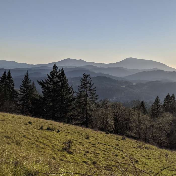 Near Bald Hill to Cardwell Hill