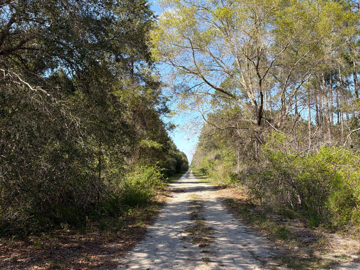 SFR 211 trail photo