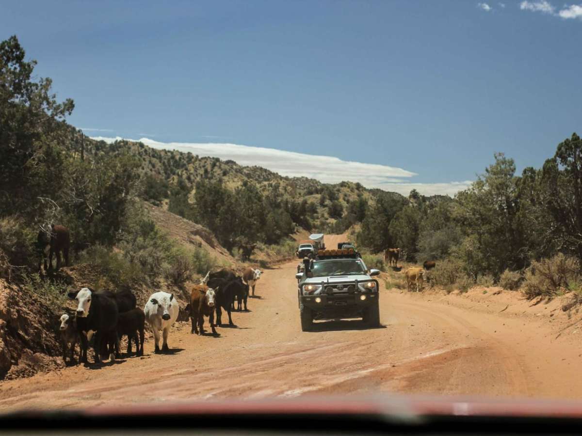 Cottonwood Canyon Road photo 6