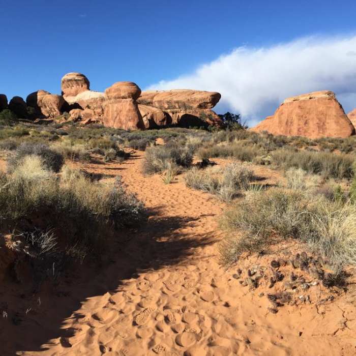 Near Devils Garden Primitive Loop Trail