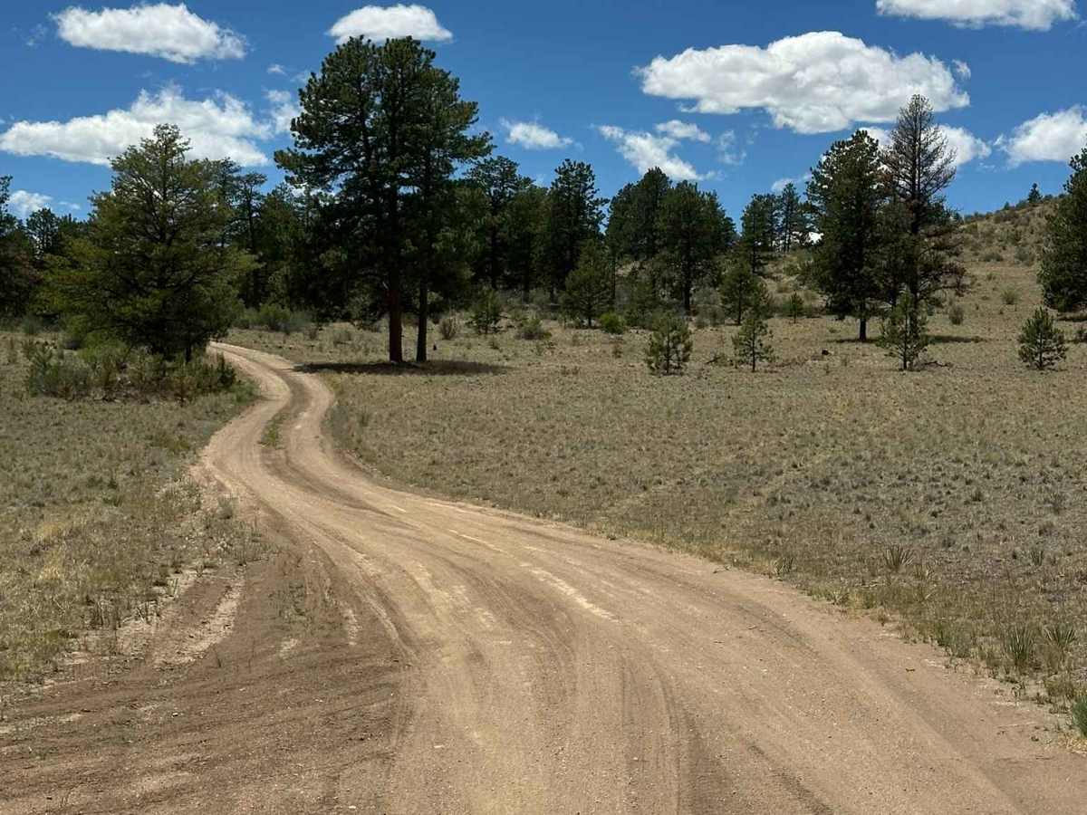 Original Road photo 6
