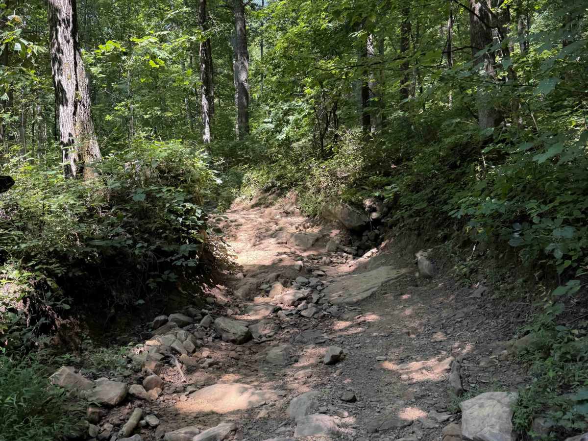 Pond Trail 29  photo 2
