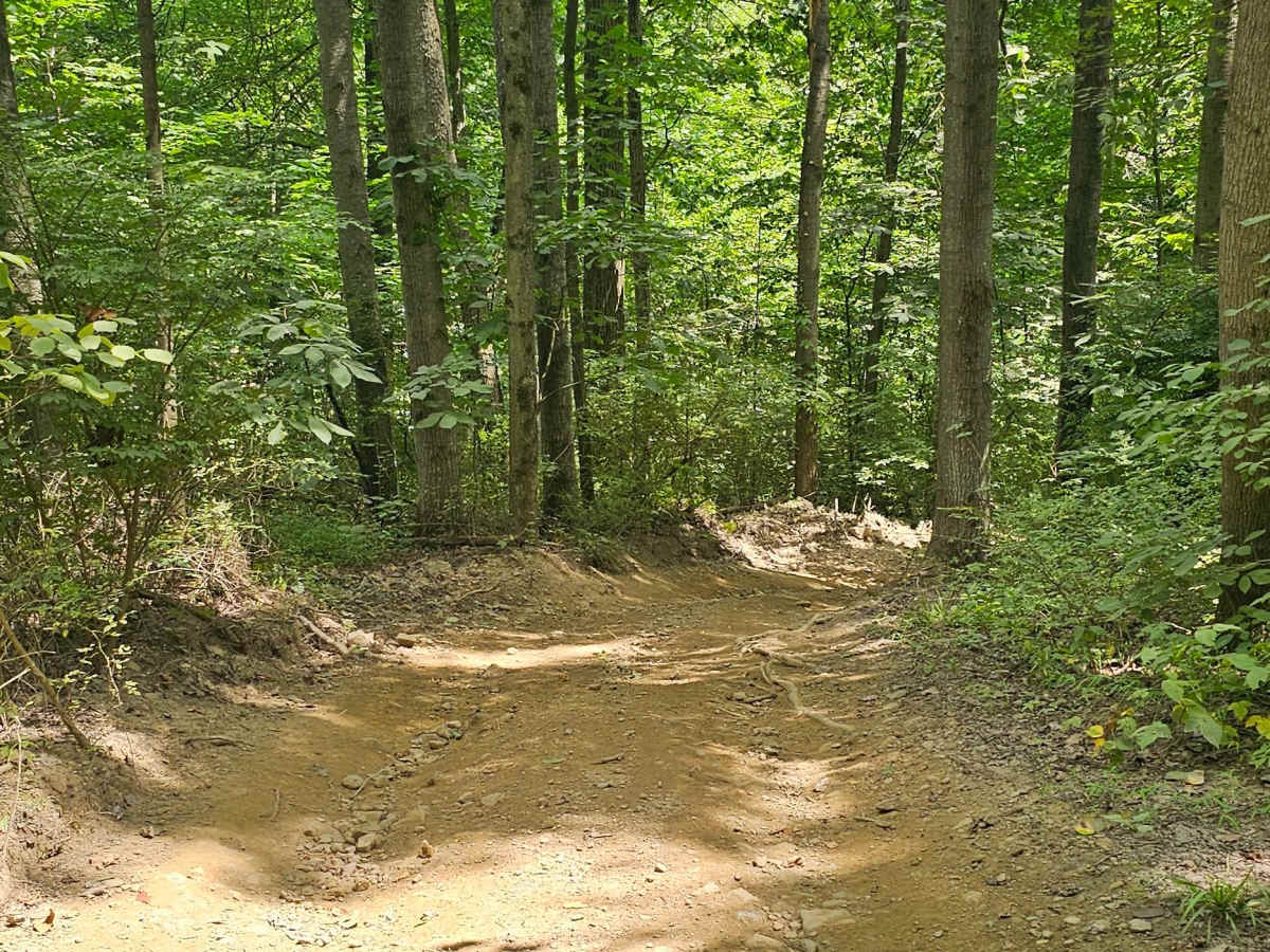 Trail 26 photo 2