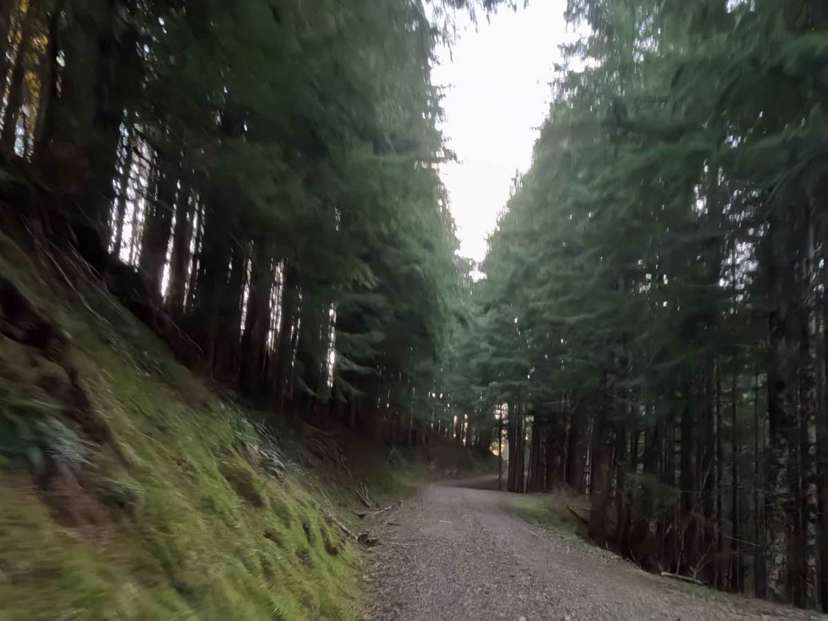 Simmons Ridge Road photo 6