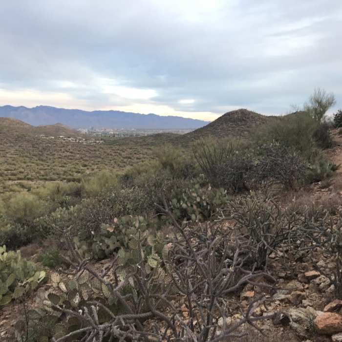 Views of Tucson to the east Near Bittersweet Trail