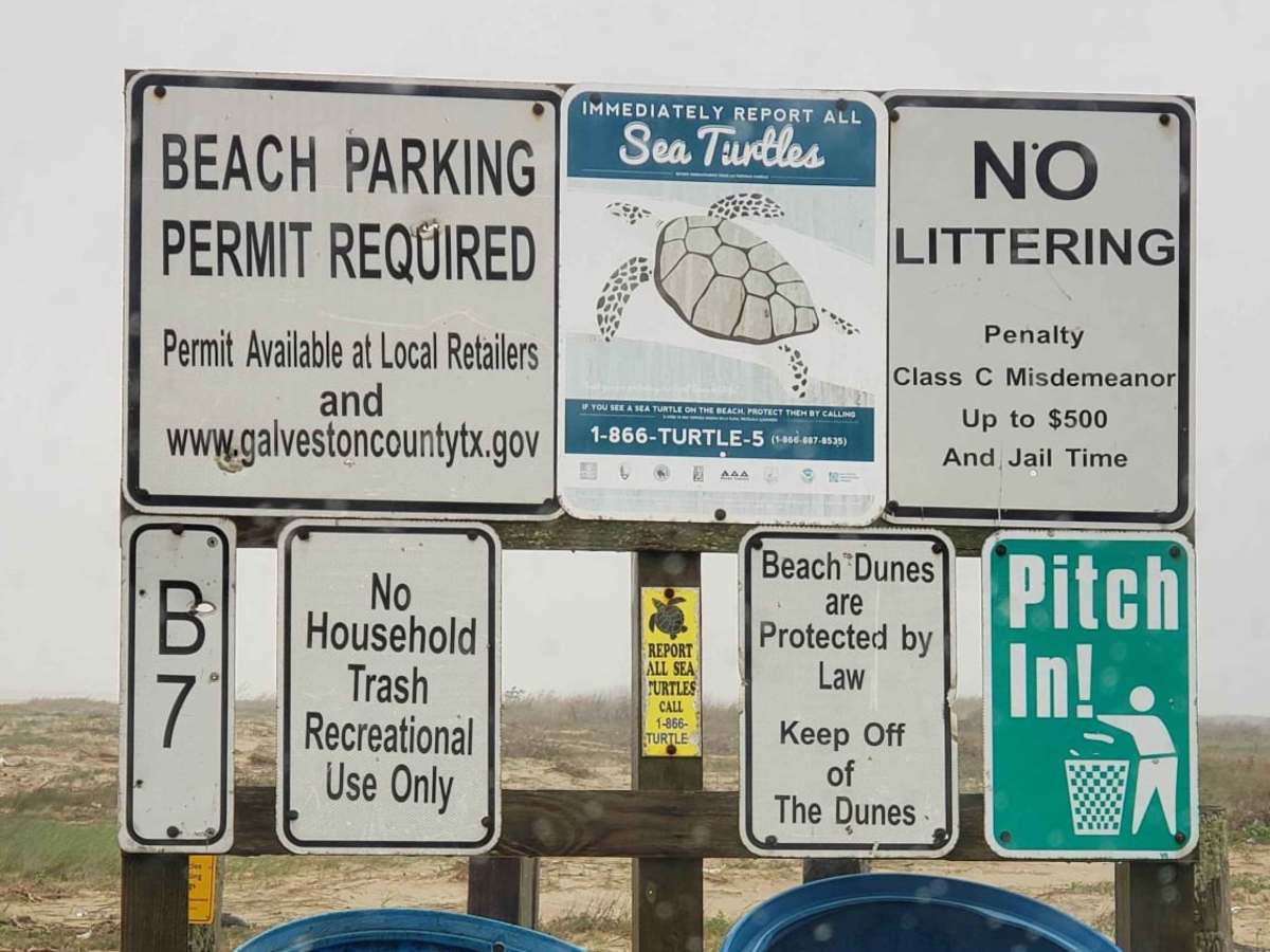 Bolivar Beach trail photo