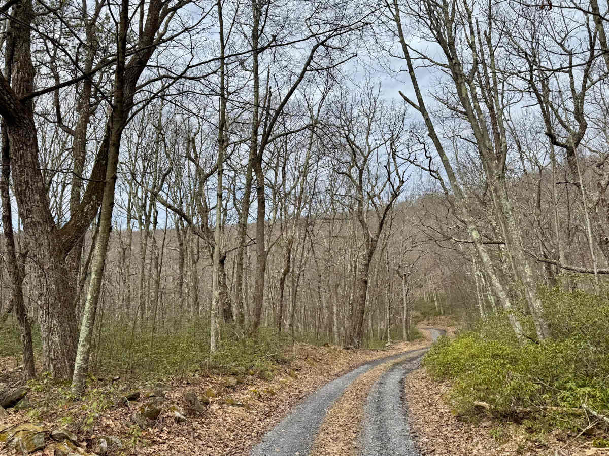 Mill Run Road photo 5