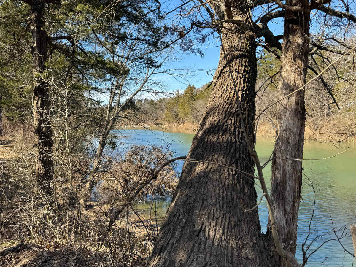 Area 1 Trail photo 4