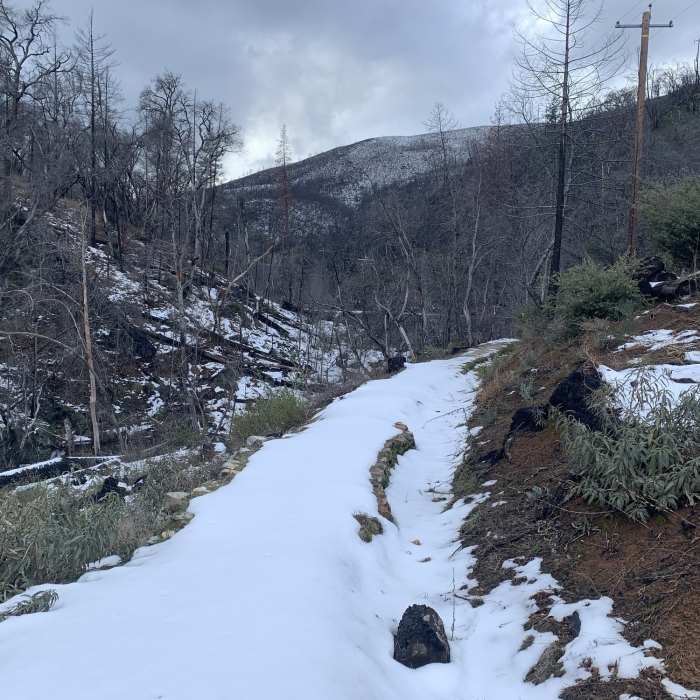 Near Crysral Creek Water Ditch Trail
