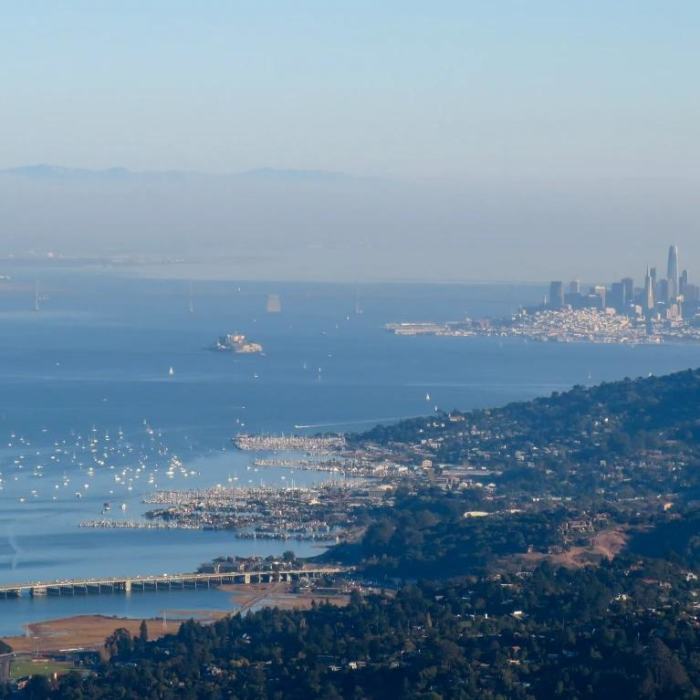 Near Mt Tamalpais via as Many Stairs as Possible (via Dipsea Stairs & Muir Woods)