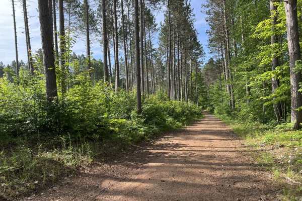 Trail LL FDR-5311