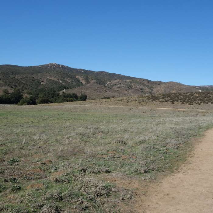 Near Coast to Crest Trail: Pamo Valley