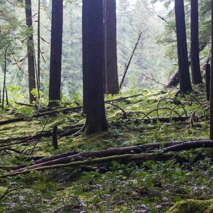 Near Riverside Trail Hike