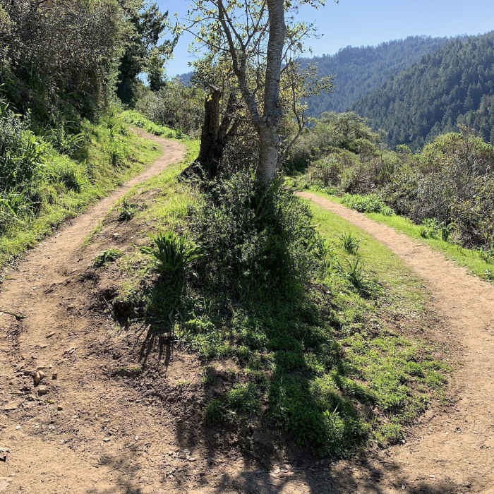 Near Bay Area Ridge Trail: Craig Britton Trail