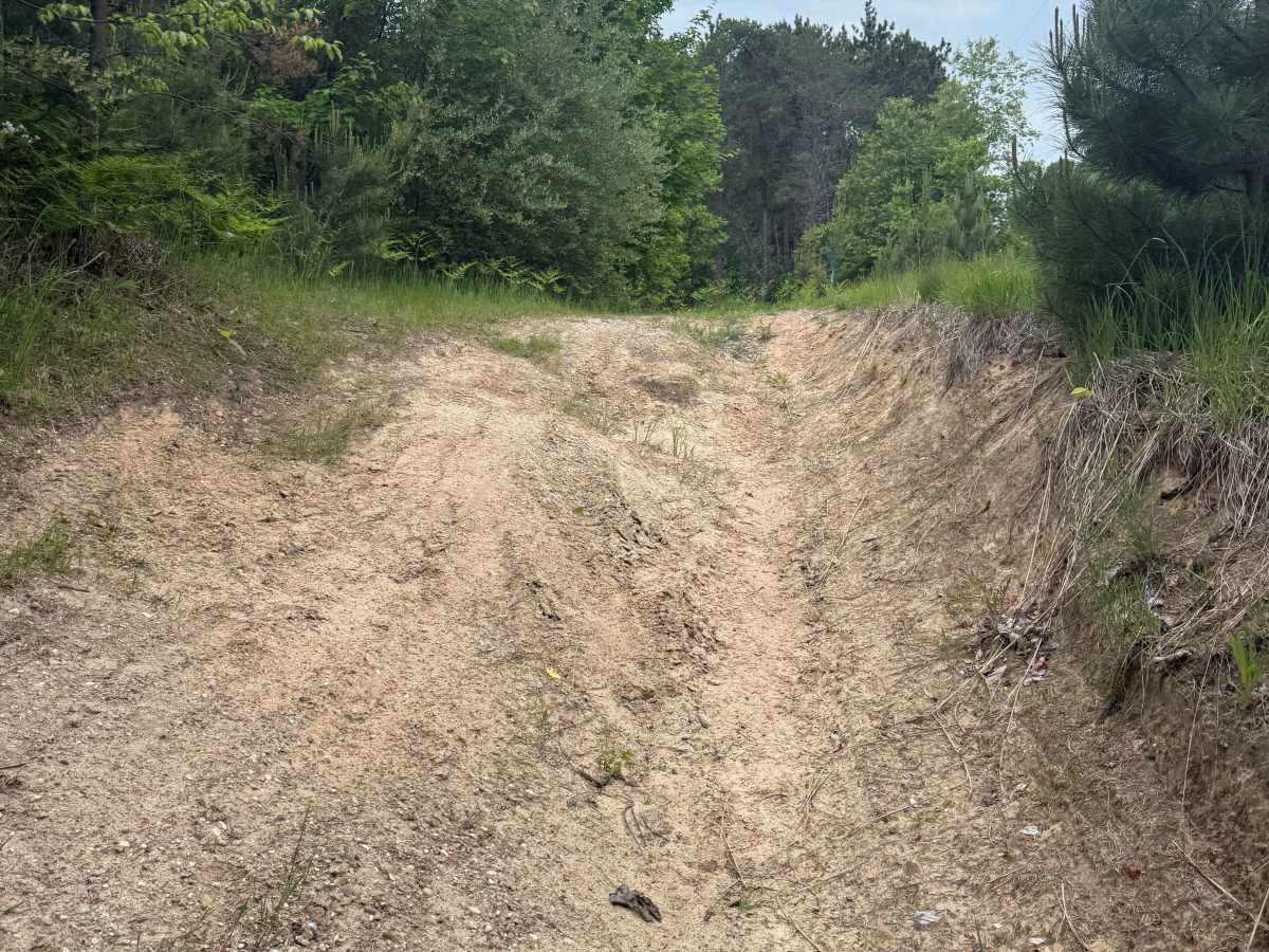 Samels Trail trail photo