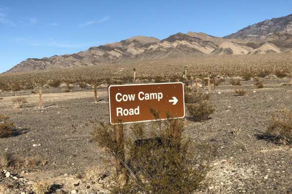 Cow Camp Road