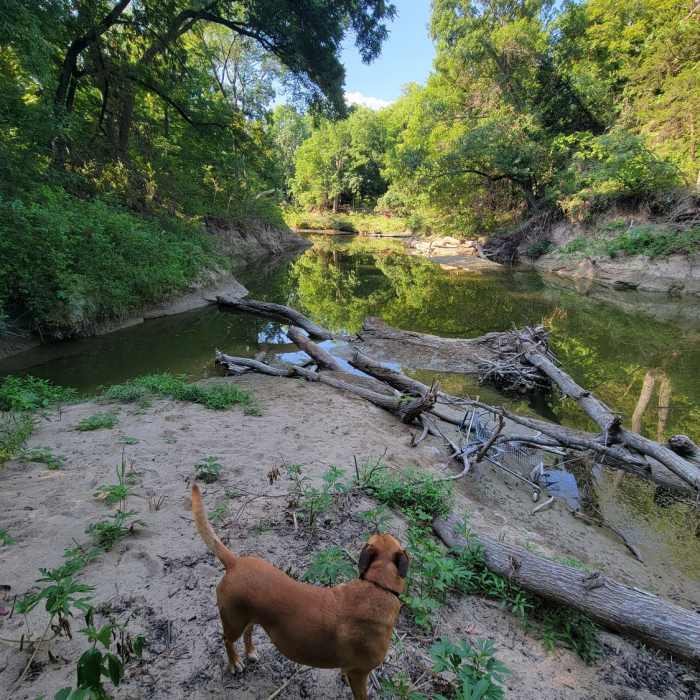 Near North Garland Trail East