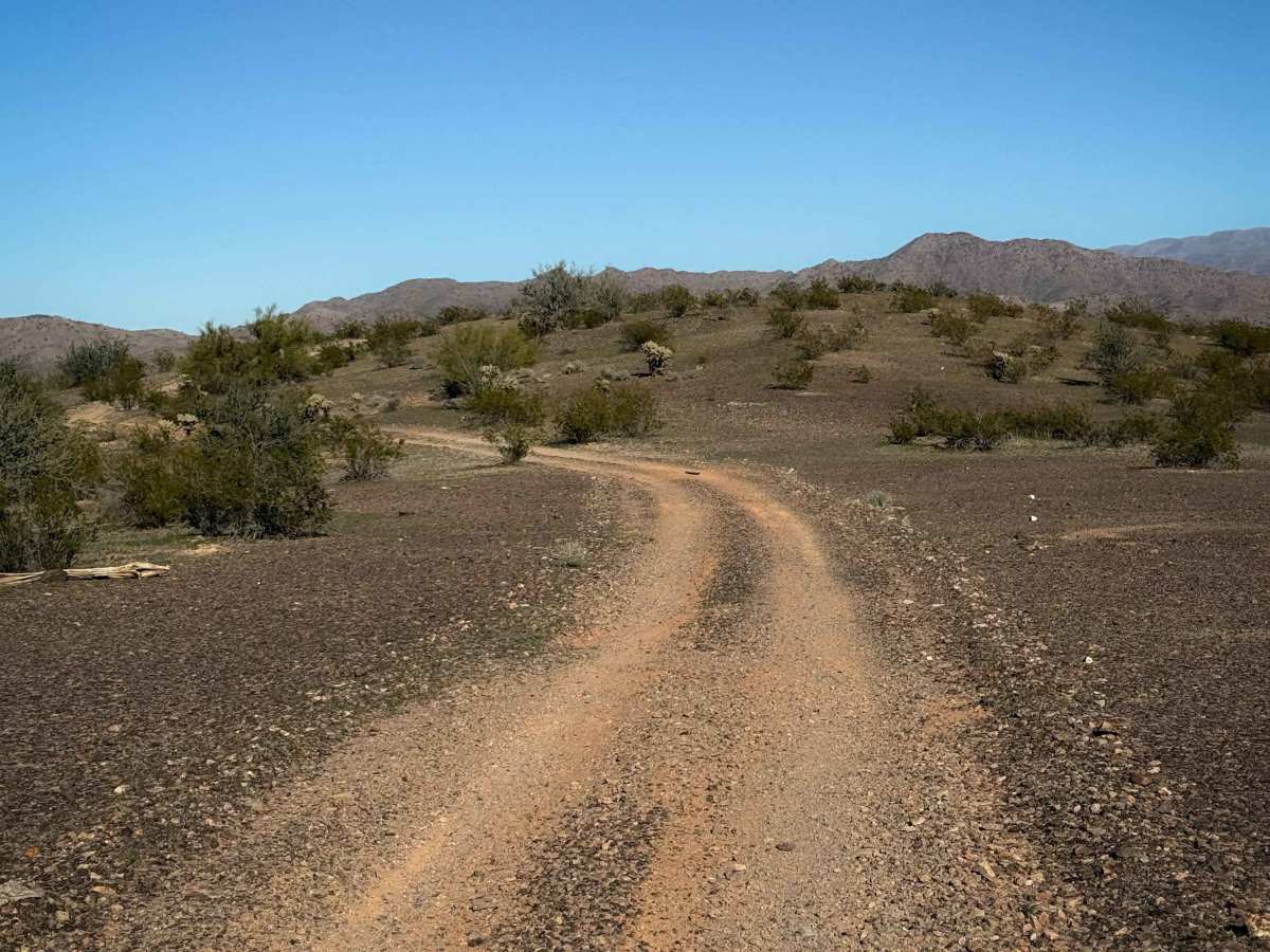 Creosote Run   photo 6