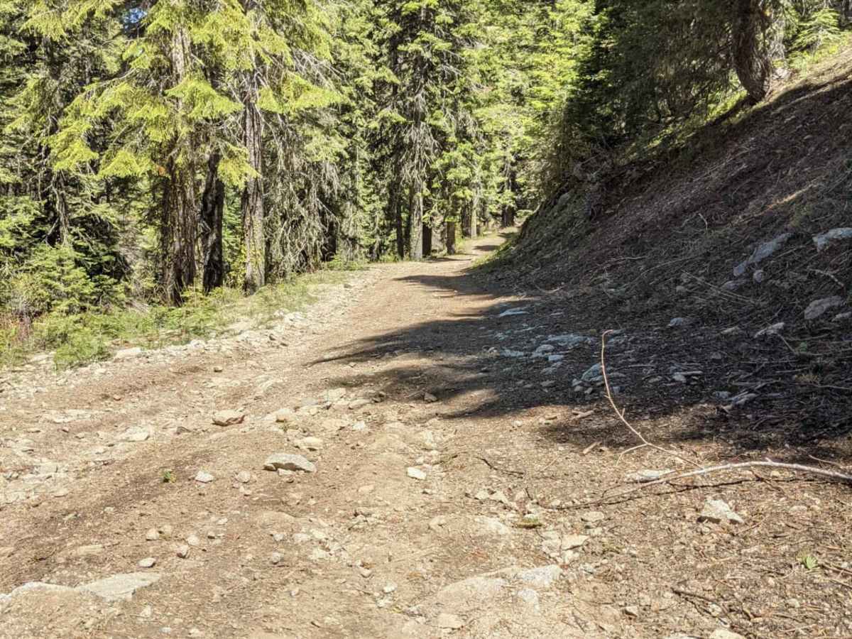 Wagner & Siskiyou photo 5