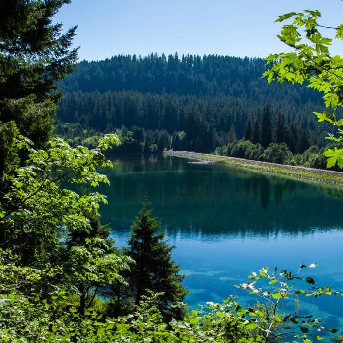 Near McKenzie River Trail: Carmen Reservoir to Tamolitch Pool