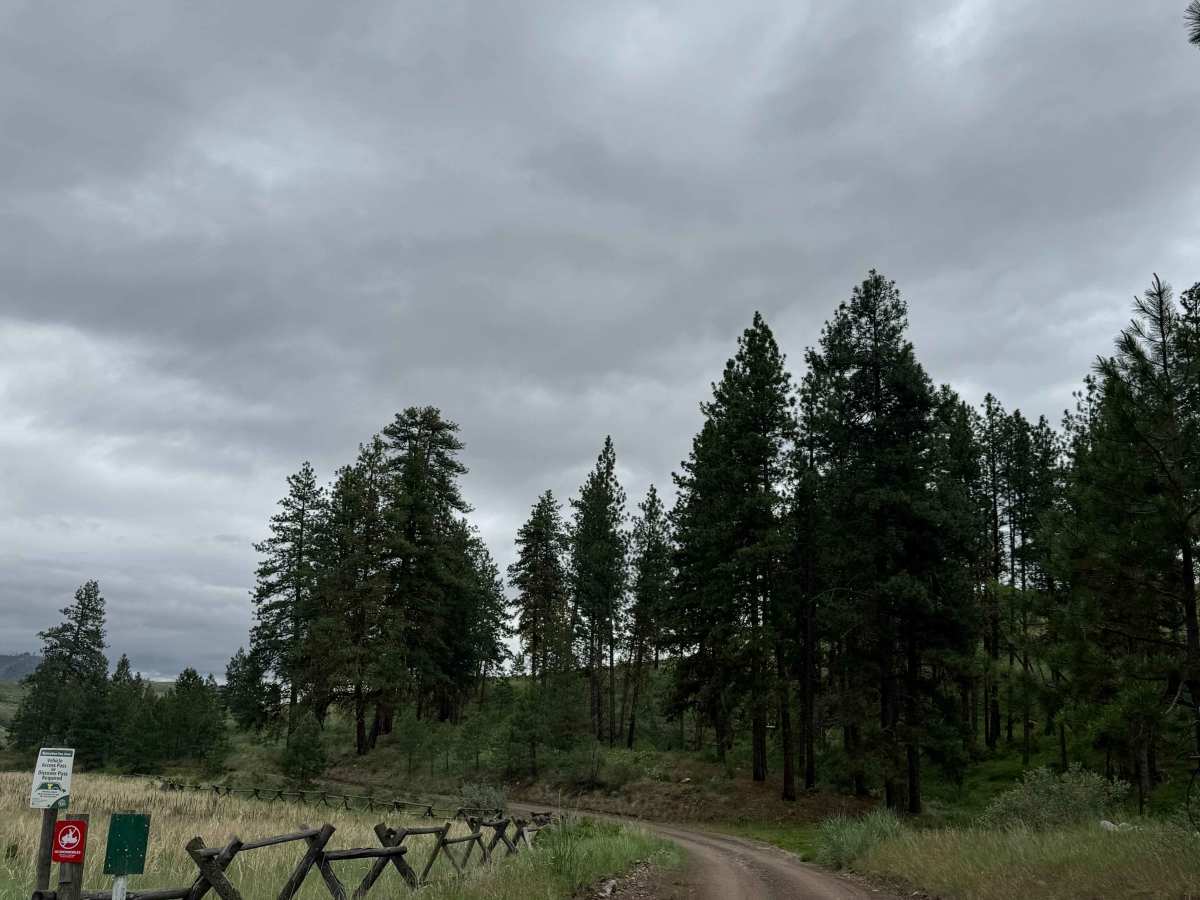 Campbell Lake Road trail photo