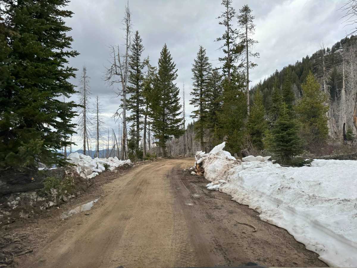 Phifer Creek Pass photo 5