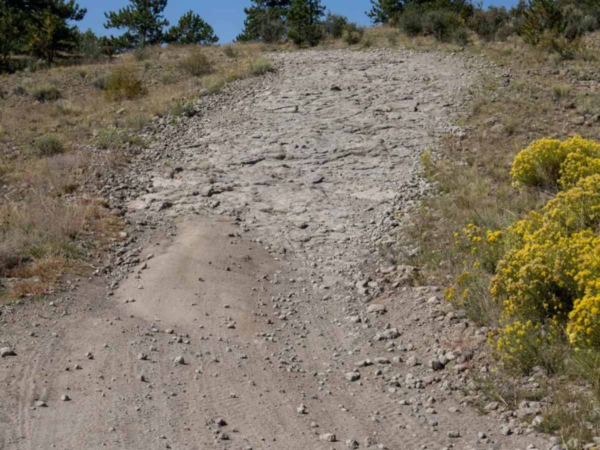 Bald Mountain Gulch 3 photo 3