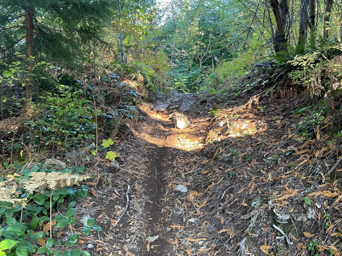 Side Quest photo 4