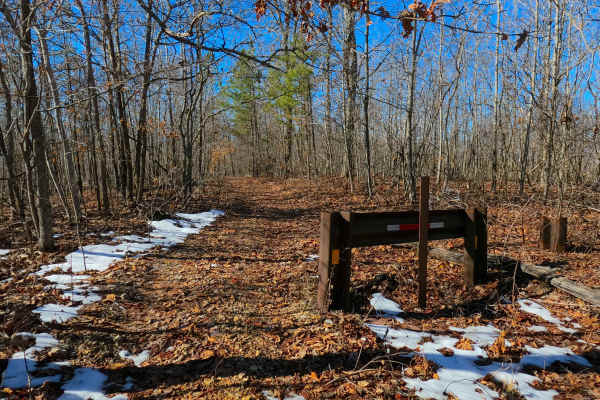 Sutton Bluff ATV 12 - SB 12