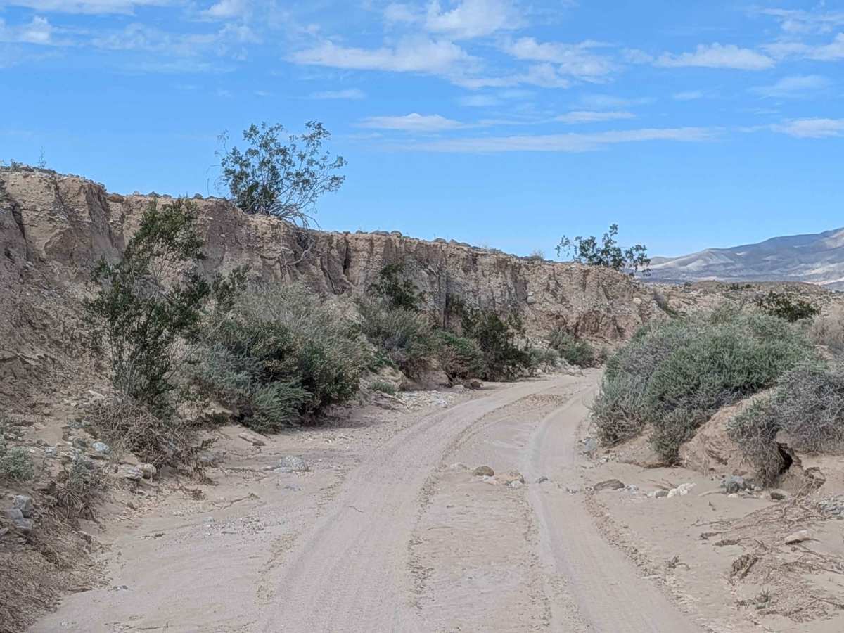 BLM 063 photo 3